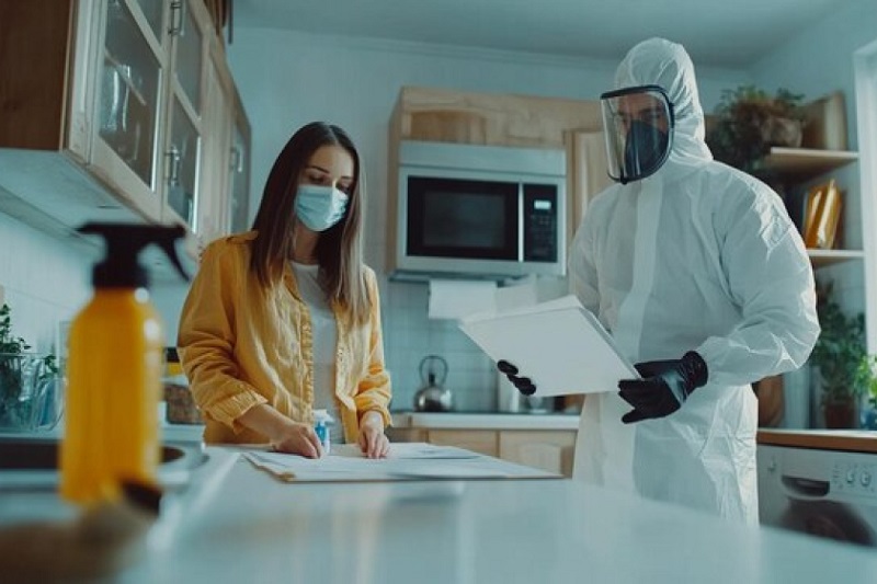 Building and Pest Inspections