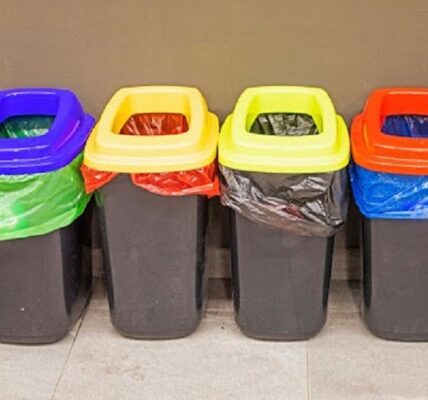 Bin Hire Melbourne Service